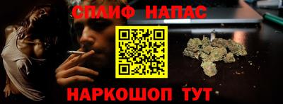 apvp Нальчик