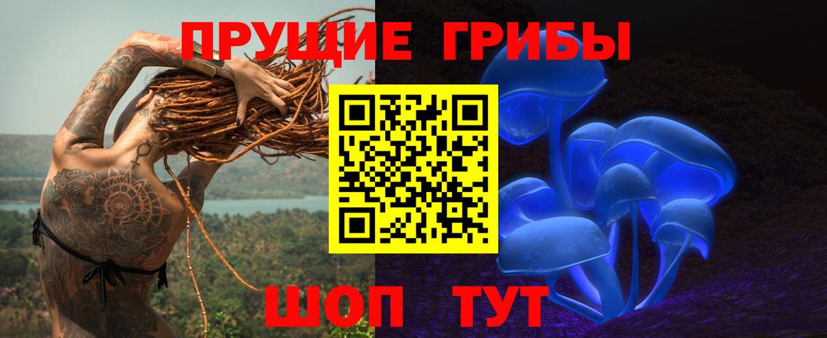 Галлюциногенные грибы прущие грибы  Псилоцибиновые грибы Cubensis  Серов  хочу   Вход с VPN 